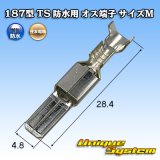 画像: 住友電装 187型 TS 防水用 オス端子 サイズ：M (0.5-1.25mm2)