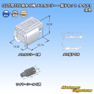 画像: 矢崎総業 025型 HS 防水 6極 メスカプラー・端子セット タイプ1 黒色