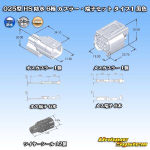 画像: 矢崎総業 025型 HS 防水 6極 カプラー・端子セット タイプ1 黒色