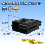 画像: 矢崎総業 025型 RH 防水 12極 オスカプラー