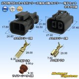 画像: 矢崎総業 250型 58コネクタ Xタイプ 防水 2極 カプラー・端子セット ホルダ付属 タイプ1 灰色