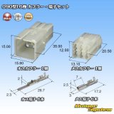 画像: 矢崎総業 090型I 非防水 6極 カプラー・端子セット タイプ1