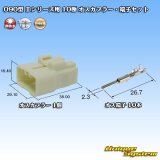 画像: 矢崎総業 090型II 非防水 10極 オスカプラー・端子セット