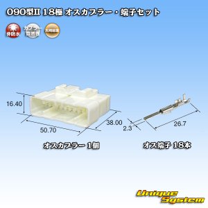 画像: 矢崎総業 090型II 非防水 18極 オスカプラー・端子セット