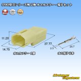 画像: 矢崎総業 090型II 非防水 2極 オスカプラー・端子セット タイプ1