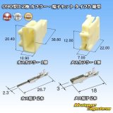 画像: 矢崎総業 090型II 非防水 2極 カプラー・端子セット タイプ5 縦型