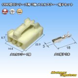 画像: 矢崎総業 090型II 非防水 3極 メスカプラー・端子セット タイプ1