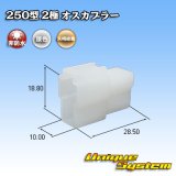 画像: 矢崎総業 250型 CN(A) 非防水 2極 オスカプラー