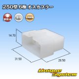 画像: 矢崎総業 250型 CN(A) 非防水 6極 オスカプラー