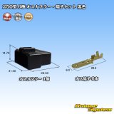 画像: 矢崎総業 250型 CN(A) 非防水 6極 オスカプラー・端子セット 黒色