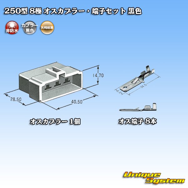 画像4: 矢崎総業 250型 CN(A) 非防水 8極 オスカプラー・端子セット 黒色 (4)