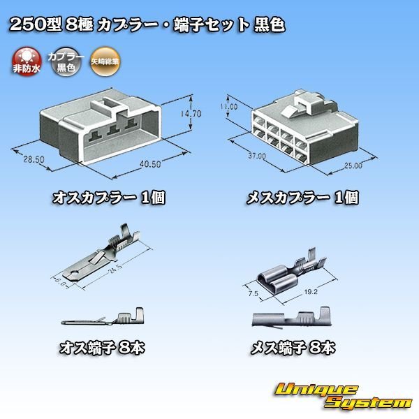 画像5: 矢崎総業 250型 CN(A) 非防水 8極 カプラー・端子セット 黒色 (5)