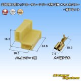 画像: 矢崎総業 250型 L型ウインカーリレーシリーズ用 非防水 2極 メスコネクター・端子セット